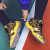 誉梵のバードの靴の男性の春の新型のファンシーのカープの金は高いスニーカーのネトの顔に空気を通すよ。