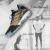 Adidas Adidas男性靴2019夏にはハドロゼル軍靴が実戦で耐摩耗性緩衝性快適カジュアバールスポーツスポーツスポーツツーAQ 0040 EE 3678 Made 42