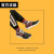 规格品の本道の连名のオーウェンジェームズの2全スターダストの高组の実戦运动のバーッカートの靴の男のオシドリの2世纪の3単版の开拓者mvp中国の靴のハド2.のvol.2.中国の靴のファッション.